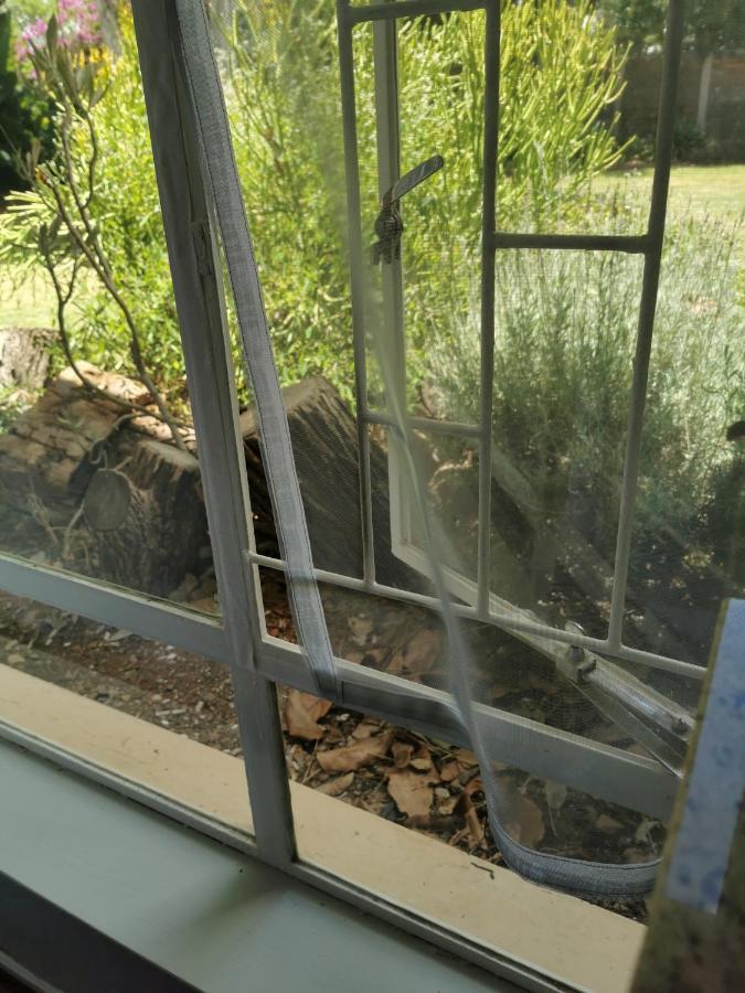 Stew S Room Polokwane Kültér fotó