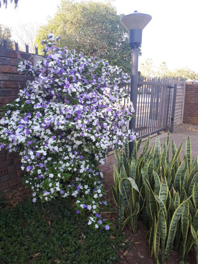 Stew S Room Polokwane Kültér fotó